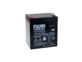 Bateria FIAMM HOCHSTROM-TYP para FGH20502