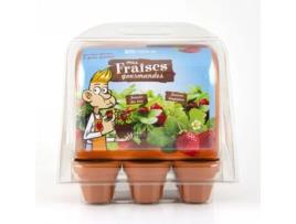 Jogo de Tabuleiro RADIS ET CAPUCINE Mini Greenhouse - Strawberries (4 Anos)