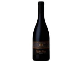Vinho Tinto 100 Hectares 18º
