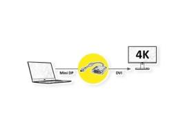 Adaptador Roline Gold Mini Displayport Dvi M/F