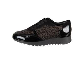 Sapatos Mulher HASSIA Castanho (Tam: 5.5 uk)