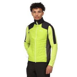 Regatta Halton Vi Vest Verde 3XL Homem