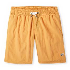 O´neill N4800001 Vert 14 Boy Swimming Shorts Laranja 11-12 Years Rapaz