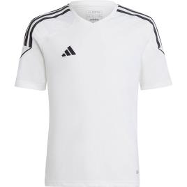 Adidas Tiro 23 Short Sleeve T-shirt Branco 5-6 Years Rapaz