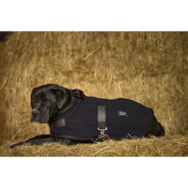 Diego & Louna Teddy Polar Dog Rug Verde 41 cm