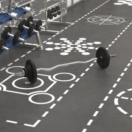 vidaXL Conjunto de barra com discos 30 kg