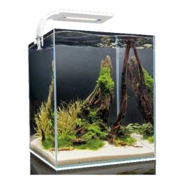 Aquael Shirmp D And N Complete Aquarium 30l Transparente