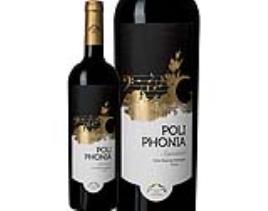 Vinho Tinto Poliphonia Signature Alentejo 0.75l