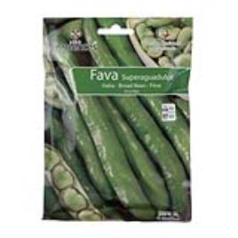Semente Fava Super Aguadulce 100gr