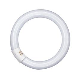 Lâmpada Fluorescente Circular Osram Lumilux G10Q 22W/865 C 1300Lm