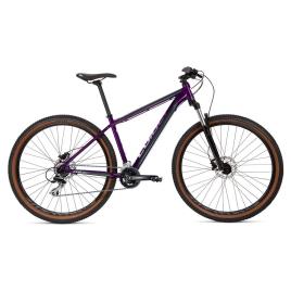 Coluer Ascent 294 29´´ Altus 2023 Mtb Bike  M