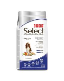 Picart Select Senior Pack económico: 2 x 12 Kg