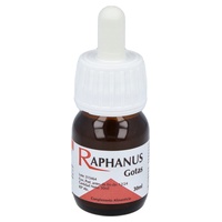 O sistema imunológico de Raphanus cai 30 ml - Codival