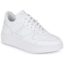 Piola  Sapatilhas CAYMA  Branco Disponível em tamanho para senhora. 37,38,39,40.Mulher > Sapatos > Tenis