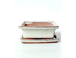 Pack de Vaso e Prato LUSO BONSAI (28x21,5x9 cm - Cer?mica - Bege)