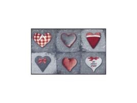 Tapete WASH + DRY (50 x 75 - Poliamida - Cinzento)