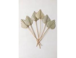 SKLUM Ramos Secos Decorativos Beliefe Fibra Vegetal Verde Bambu