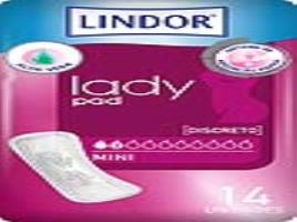 Lady Pad Mini Compresas 14Uds