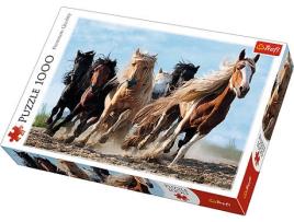 Puzzle  10446 (1000 Peças)