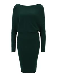 Banana Republic Petite Vestido de malha 'SERENE'  verde escuro