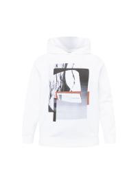 Calvin Klein Curve Sweatshirt  cinzento / preto / branco