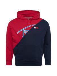 Tommy Remixed Sweatshirt  navy / azul claro / vermelho / branco