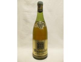 Vinho Branco GUILBAUD 1964 (75 cl - 1 unidade)