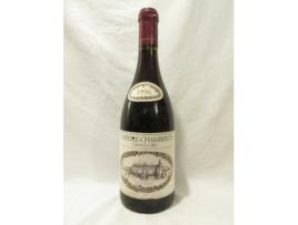 Vinho Tinto PAUL REITZ 1996 (75 cl - 1 unidade)