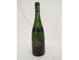 Vinho Branco DOMAINE DE PUTILLE 1989 (75 cl - 1 unidade)