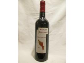 Vinho Tinto COULON 2013 (75 cl - 1 unidade)