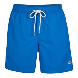 O´neill N03200 Vert Swim 16´´ Swimming Shorts Azul L Homem