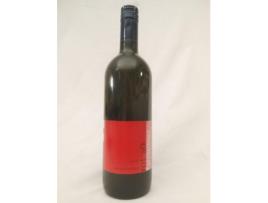 Vinho Tinto WEINGUT FARNLEITNER 2009 (75 cl - 1 unidade)