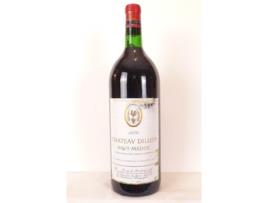 Vinho Tinto CHÂTEAU DILLON 1976 (75 cl - 1 unidade)