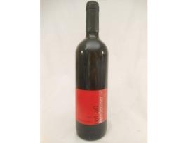 Vinho Tinto WEINGUT FARNLEITNER 2005 (75 cl - 1 unidade)