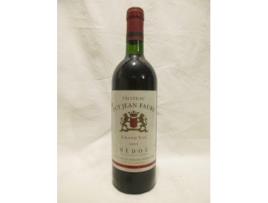 Vinho Tinto CHÂTEAU PUY JEAN FAURE 1995 (75 cl - 1 unidade)