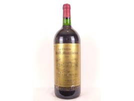 Vinho Tinto CHÂTEAU HAUT-MONTFORTON 1999 (150 cl - 1 unidade)