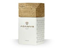 Organic Dry Gin Magnum ADAMUS SPIRITS 250 cl