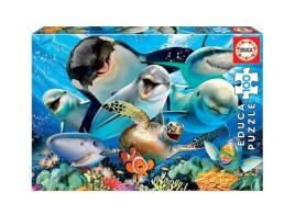 Educa - Puzzle 100 Peças 