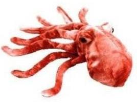 Peluche BEANIE BABIES - SEA LIFE Wiggly the Squid (6 x 2 x 3.5 cm - 3 Anos - 109 g)