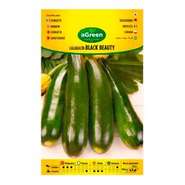 Agreen Zucchini Seeds Verde