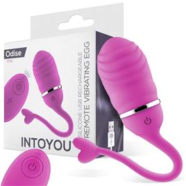 Ovo Vibratório Controle Remoto Odise USB Rosa Silicone