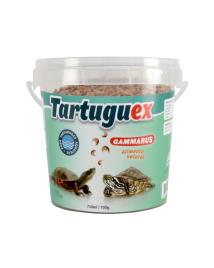 Camarões Tartaruguex Gammarus 10 L