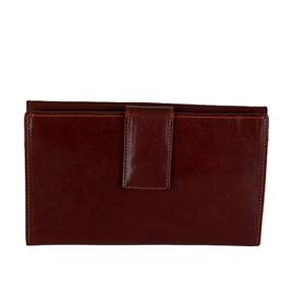 Carteira Senhora com Compartimento Cheques Castanho