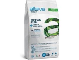 Comida para Cães ALLEVA  Holistic Ocean Fish + Hemp & Aloe Vera (2 kg - Seca - Cachorros - Sabor: Peixe)