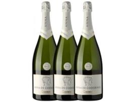 Espumante CODORNÍU Codorníu Anna De Codorníu Brut Cava  (1.5 L - 3 unidades)