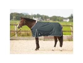 Manta para cavalos ao ar livre Harry's Horse Thor 100 gr
