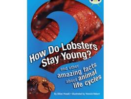 Livro bug club independent non fiction year 3 brown a how do lobsters stay young? de jillian powell (inglês)