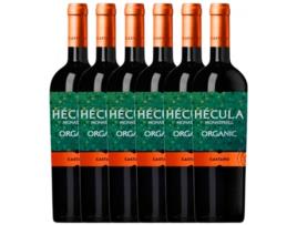Vinho CASTAÑO Castaño Hécula Monastrell Yecla Joven (0.75 L - 6 unidades)