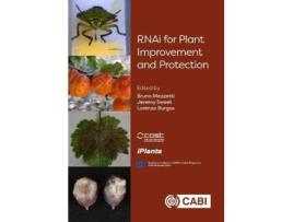 Livro rnai for plant improvement and protection de edited by dr bruno mezzetti , edited by jeremy sweet , edited by lorenzo burgos (inglês)