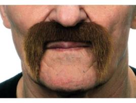 Bigode  Mexicano Castanho (Tam: Tamanho Único)